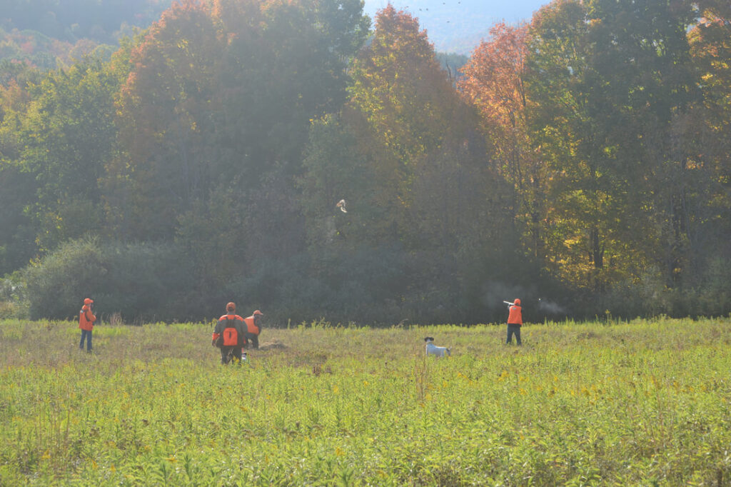youth-pheasant hunt-forkston-Pennsylvania